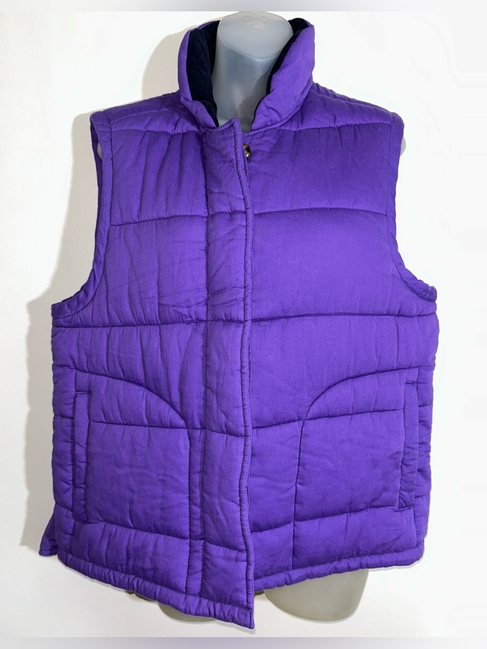 Xirena Hunter Reversible Puffer Vest in Joshua Purple Paisley Womens Sz M